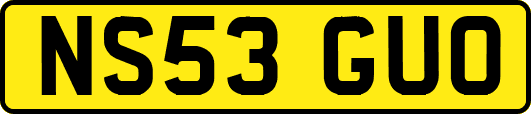 NS53GUO