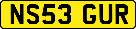 NS53GUR