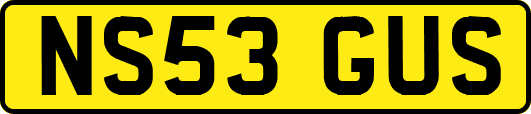 NS53GUS