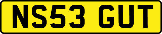 NS53GUT