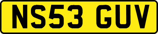 NS53GUV