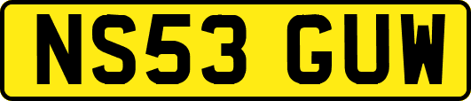 NS53GUW