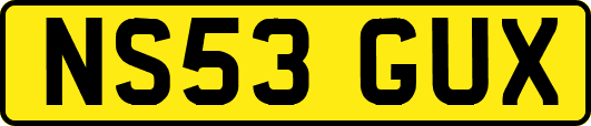 NS53GUX