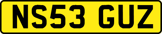 NS53GUZ