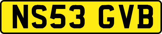 NS53GVB
