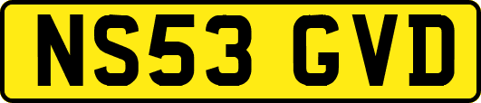 NS53GVD