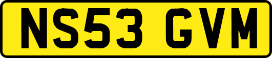 NS53GVM