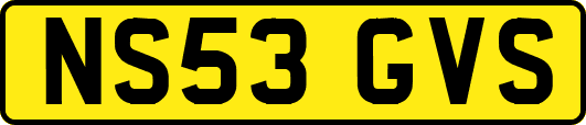 NS53GVS