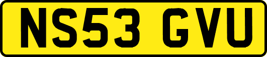 NS53GVU
