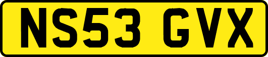 NS53GVX
