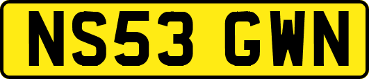 NS53GWN