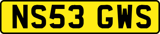 NS53GWS