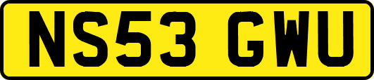 NS53GWU