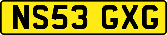NS53GXG