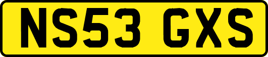 NS53GXS