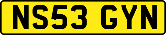 NS53GYN