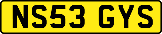NS53GYS