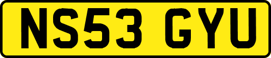NS53GYU