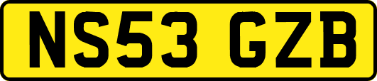 NS53GZB