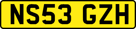 NS53GZH