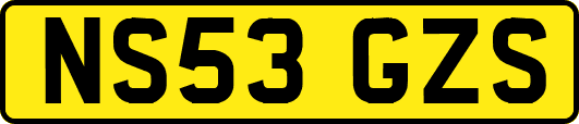 NS53GZS