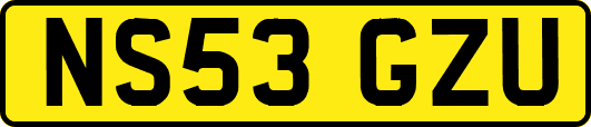 NS53GZU