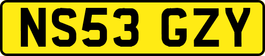 NS53GZY