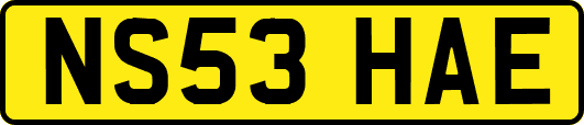 NS53HAE