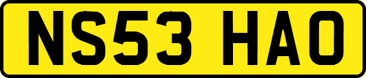NS53HAO