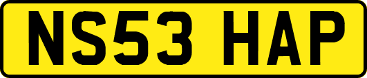 NS53HAP