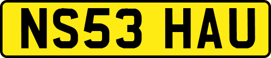 NS53HAU