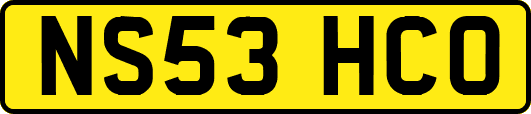 NS53HCO
