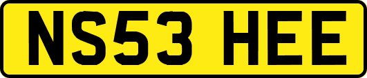 NS53HEE