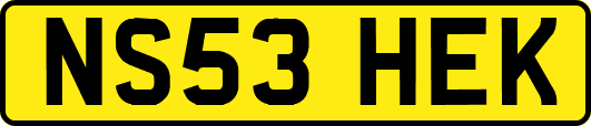 NS53HEK