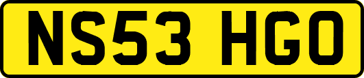 NS53HGO
