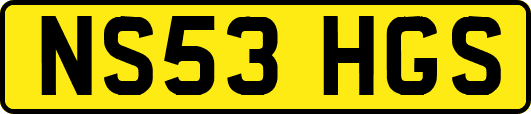 NS53HGS