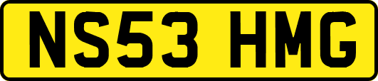 NS53HMG