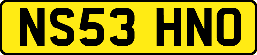 NS53HNO