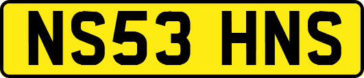 NS53HNS