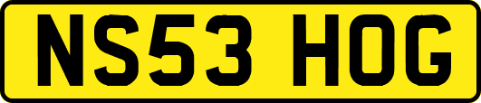 NS53HOG