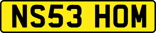 NS53HOM