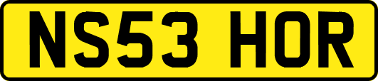 NS53HOR