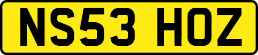NS53HOZ