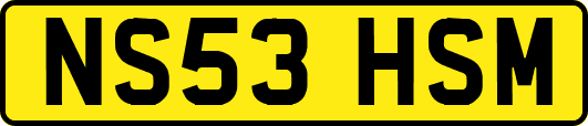NS53HSM
