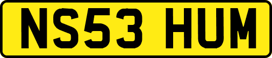 NS53HUM
