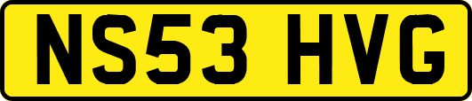 NS53HVG