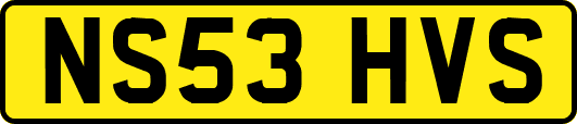 NS53HVS