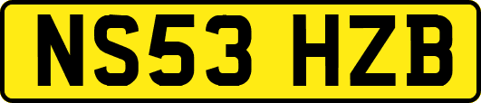 NS53HZB