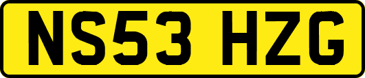 NS53HZG