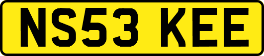 NS53KEE